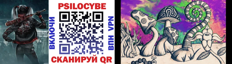 Галлюциногенные грибы Cubensis  Карабаново 